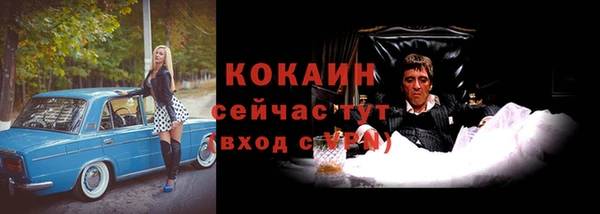 крисы Богородск