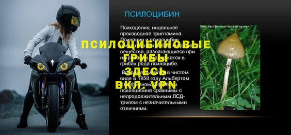 амф Беломорск