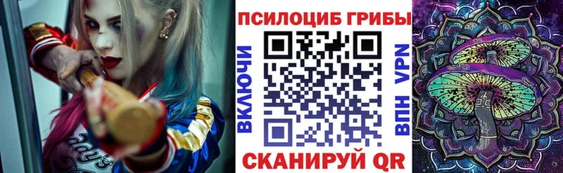 цена   Свободный  Псилоцибиновые грибы прущие грибы 